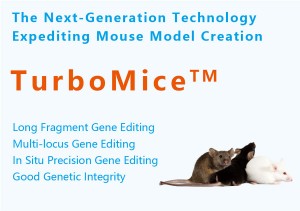 TurboMice™ multi-locus gene-edited mouse customization